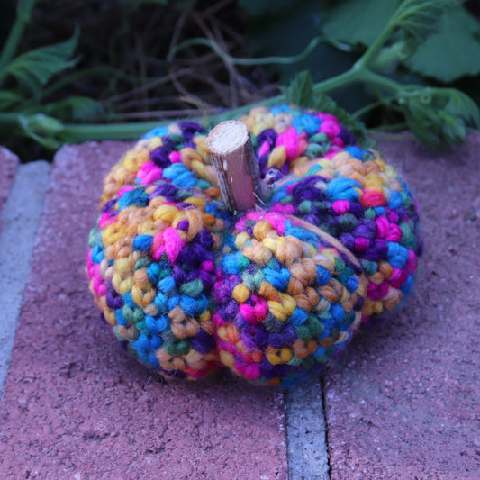 Rainbow Chunky Pumpkin