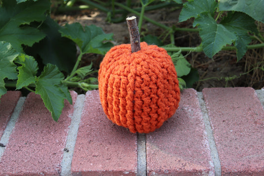 Ridged Pumpkins - Pumpkin Orange